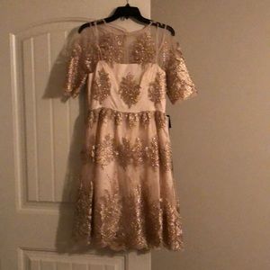 Blush/Gold Cocktail Dress